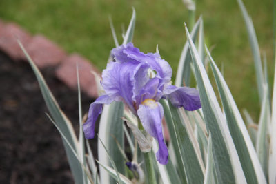 ir-120507__1665_15-25P.jpg