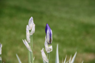 ir-120507__1666_15-25P.jpg