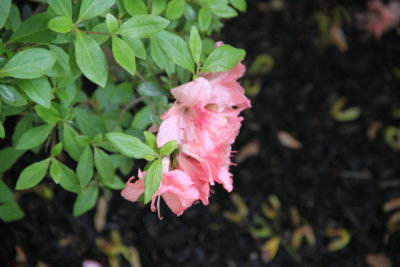 ir-120510__1744_12-17L.jpg