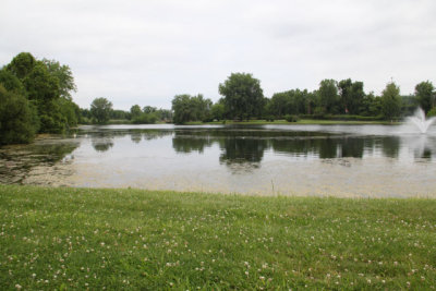 ir-120619__3015_12-07.jpg