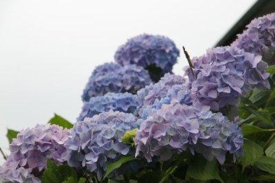 ir-120619__3033_13-12.jpg