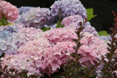 ir-120619__3034_13-13.jpg