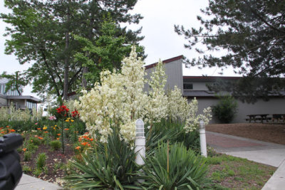 ir-120619__3047_13-44.jpg