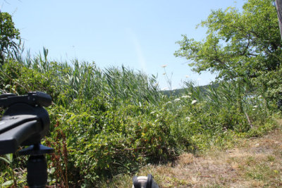 ir-120710__3436_12-50.jpg