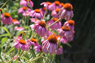 ir-120710__3448_13-06.jpg