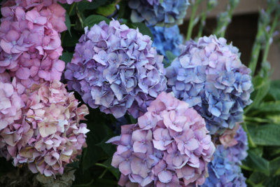 ir-120710__3452_13-10.jpg