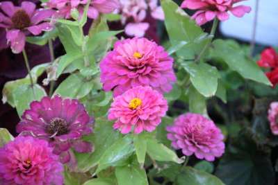 ir-120710__3454_13-11.jpg