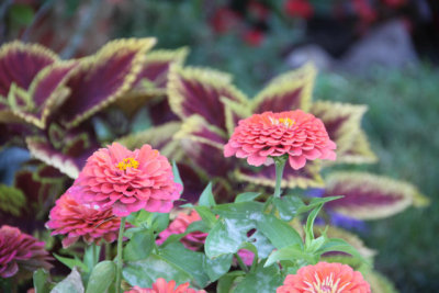 ir-120710__3457_13-11.jpg