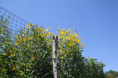 ir-120725__3568_12-10.jpg