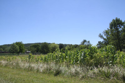 ir-120725__3569_12-29.jpg