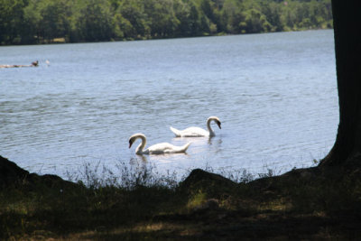 ir-120725__3576_12-35.jpg