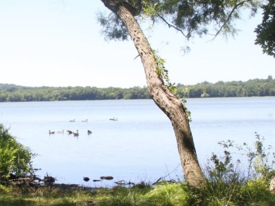 ir-120725__3572_12-34L.jpg