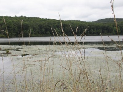 ir-120731__3717_12-21L.jpg