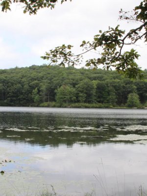 ir-120731__3723_12-22P.jpg