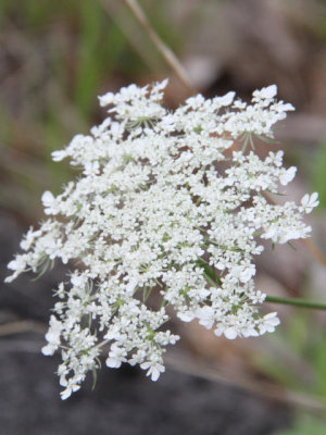 ir-120731__3724_12-22P.jpg
