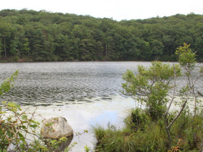 ir-120731__3727_12-23L.jpg