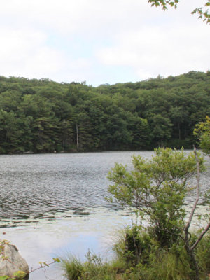 ir-120731__3728_12-23P.jpg