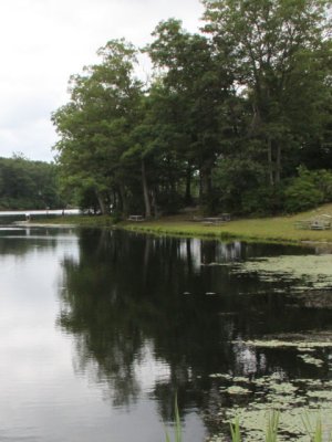 ir-120731__3729_12-24P.jpg