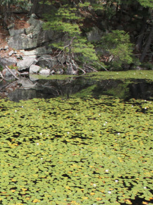 ir-120731__3738_12-43P.jpg