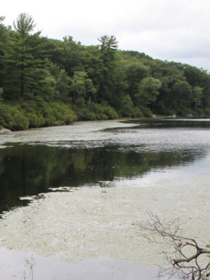 ir-120731__3752_12-50P.jpg