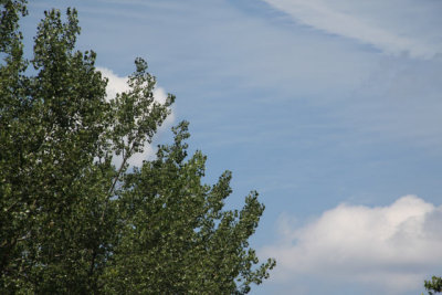 ir-120812__3987_12-45.jpg
