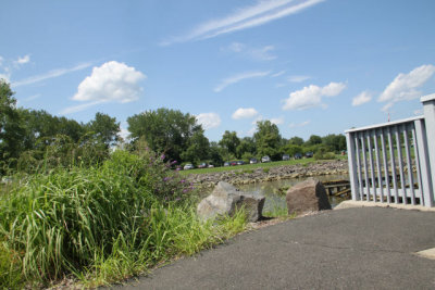 ir-120812__3992_12-58.jpg