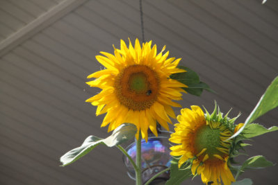 ir-120812__4012_13-34.jpg