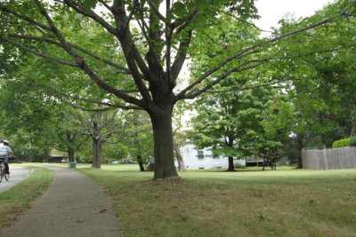 ir-120903__4432_11-33.jpg