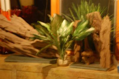 irDSC_0011.jpg