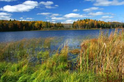 Long Lake