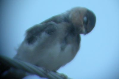 DSCN0797.jpg