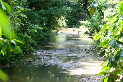 Gareno River, tributary of the Napo River