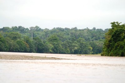 Napo River and Gareno Lodge