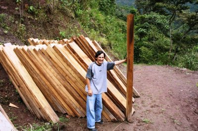 Current owners sell timber.