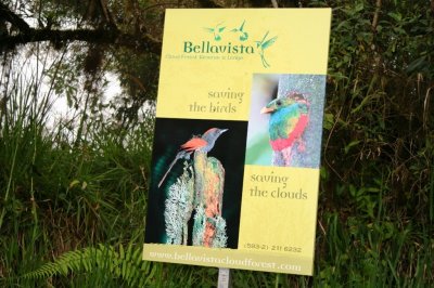 Neighboring Bellavista Cloud Forest Reserve is a prime attraction for birders