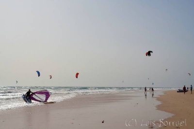 Playa Sotavento (Fuerteventura)