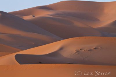 Erg Chebbi - Merzouga