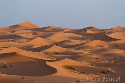 Erg Chebbi