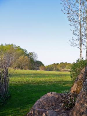 The field