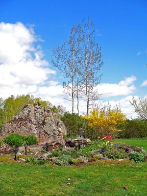 Part of the garden