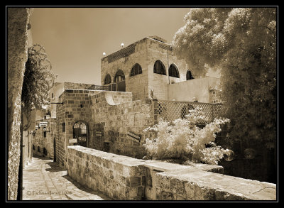 Old Jaffa.