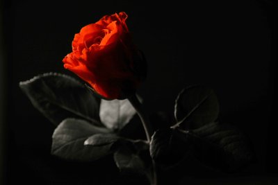 g4/83/634183/3/92279822.jKKyZ7FK.jpg