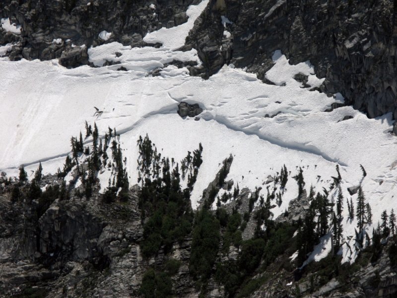 Ledge crevasse or slab avalance shelf