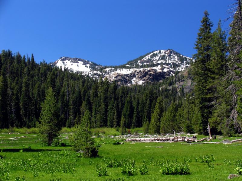 Upper Shackleford meadow
