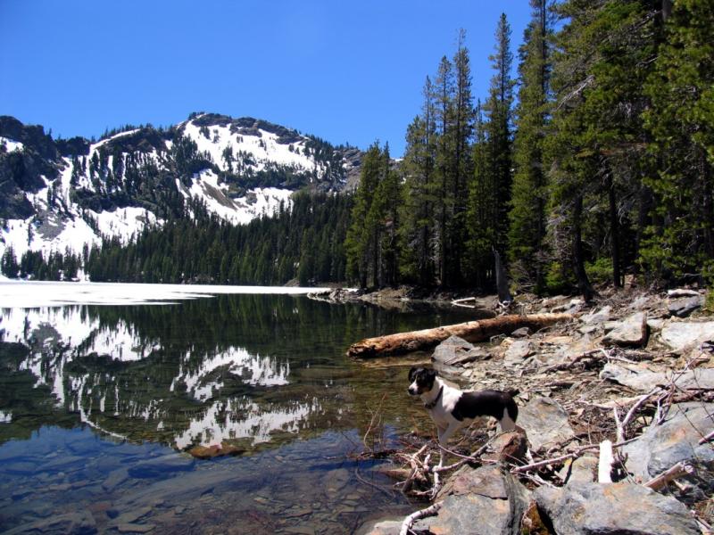 Cliff Lake west shoreline and Kelly