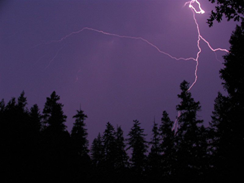 Lightning in my backyard