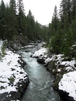 North Fork Salmon River