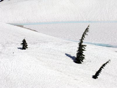 Mostly snow