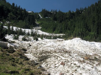 Avalanche Debris below Mica Lake