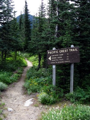 Vintage sign and trail section